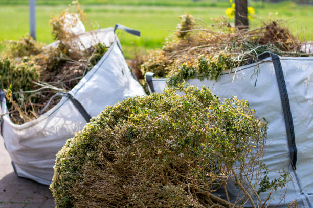Best Yard Waste Removal  in Colusa, CA